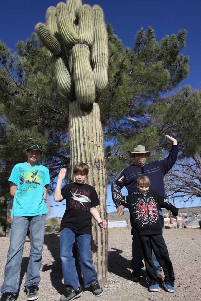 Walk like a cactus Walk like a cactus